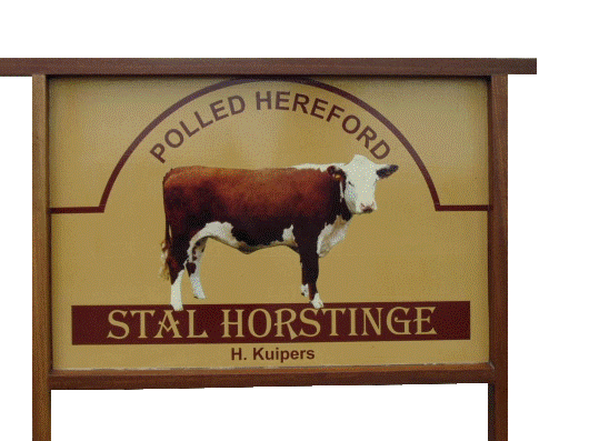 Stalbord Horstinge Polled Hereford